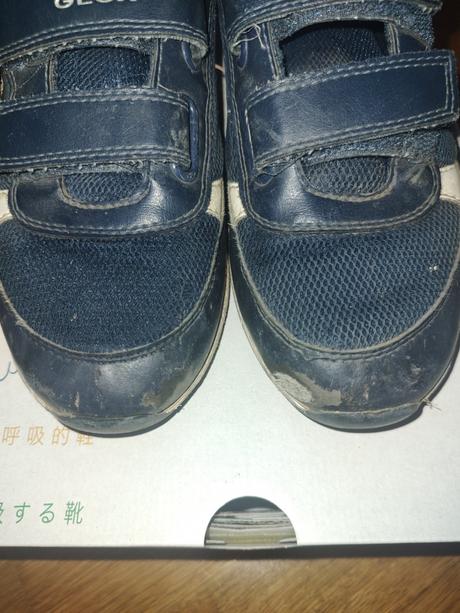 Tenisky geox 36, geox,36