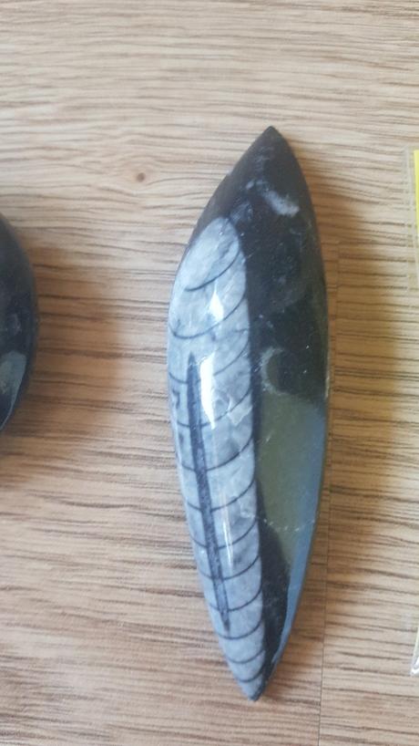 Skameneliny - mix pre milovnikov skamenelin,