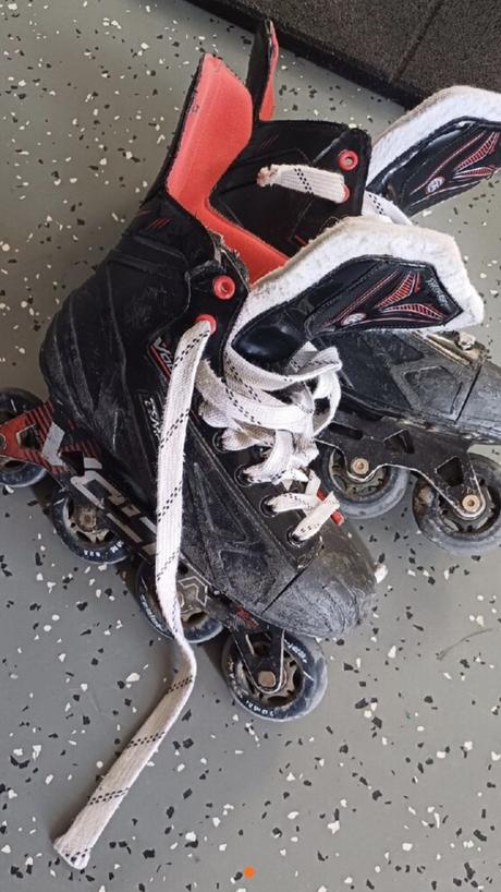 Bauer korcule, bauer,38