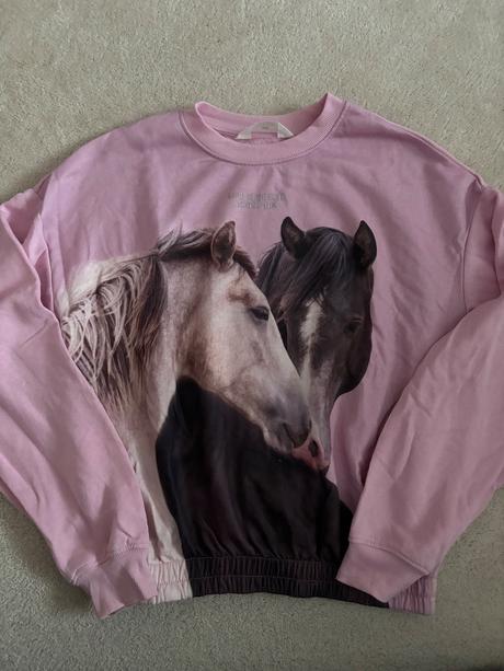 Mikina kôň, h&m,170
