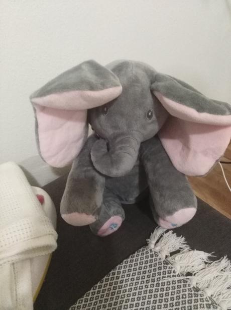 Sloník zvukový anglicky hrá, 