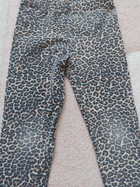 Leo leginy veľ.104, 104