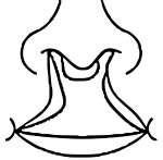 Obojstranný rázštep pery Obojstranný rázštep pery