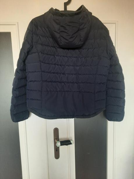 Zimna bunda lacoste, lacoste,46