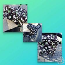 Strecha jane, joolz geo3