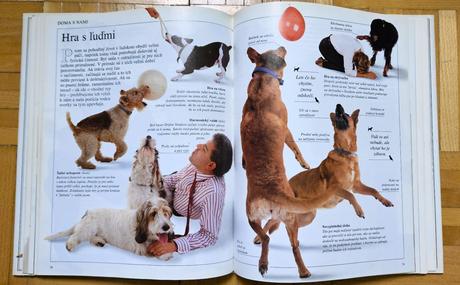 Kniha 'spoznaj svojho psa', bruce fogle, 