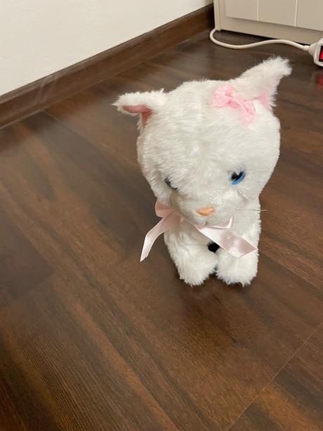 Interaktívna mačka, 