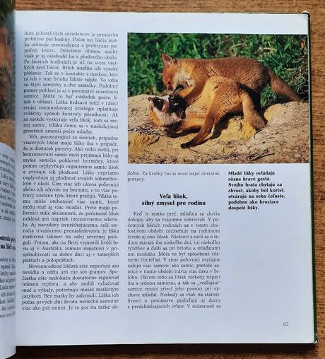 Mláďatá, tierbabys,