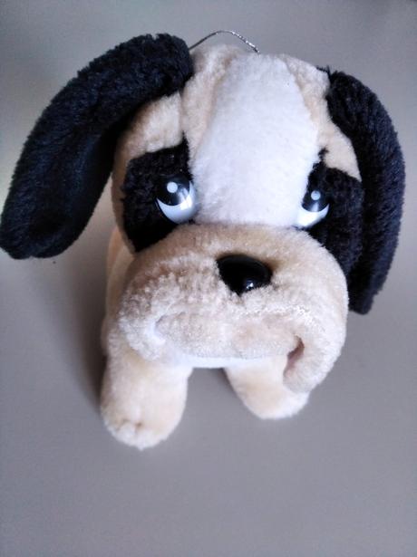 Psík so srdiečkom,