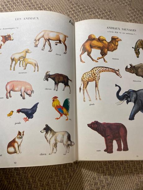 Krásny starý retro slovník učebnica francúzštiny, 