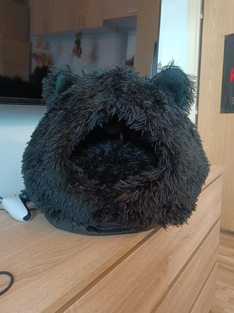 Pelech pre mačku alebo malého psíka, 