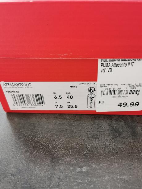 Halovky puma, puma,38
