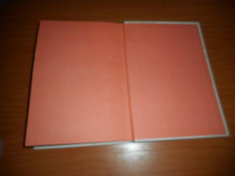 Robinsonka, marie majerová,