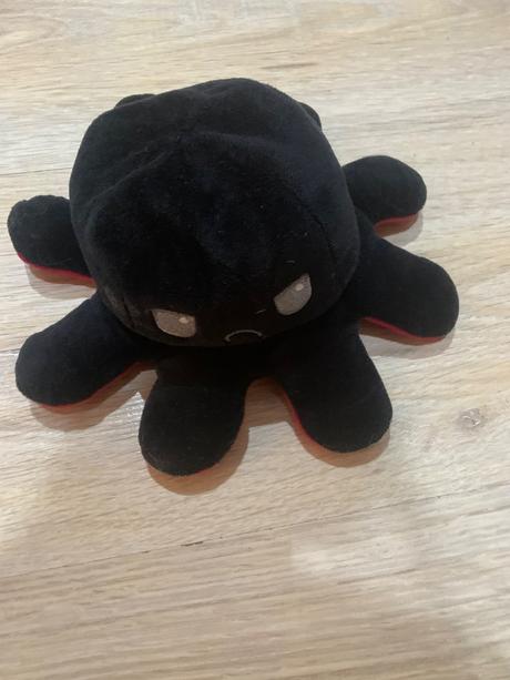 Obojstranná chobotnica northix,