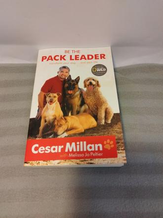 Cesar millan in english xs24, 
