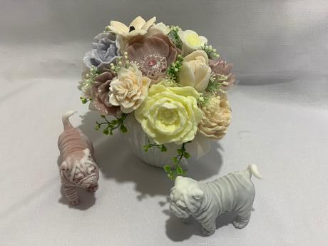 Mydlova kytica s mydlovim psikom, 