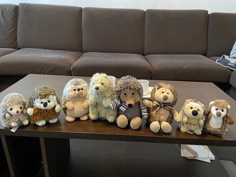 Plyšoví ježkovia, 