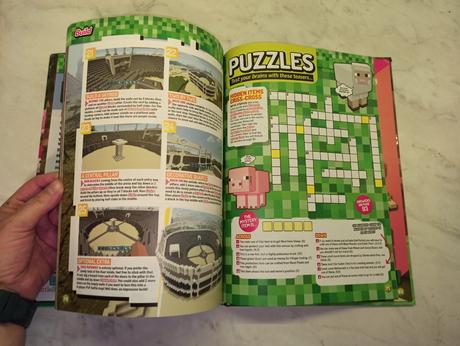 Minecraft 2019 annual, 