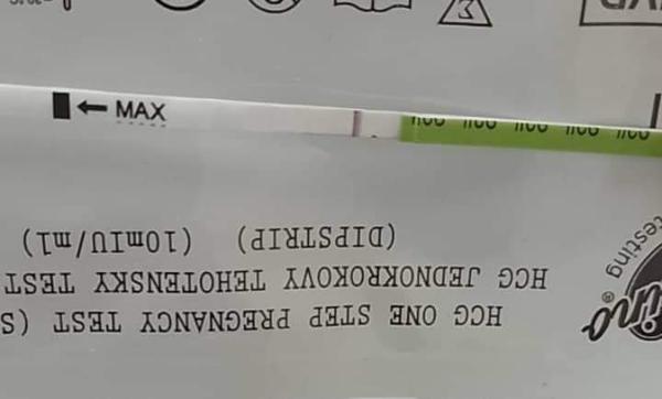 Duch na teste po menzese