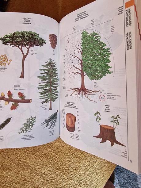 Velký obrazový tématický slovník,