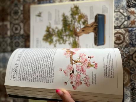 Knihy a casopisy bonsaj, 