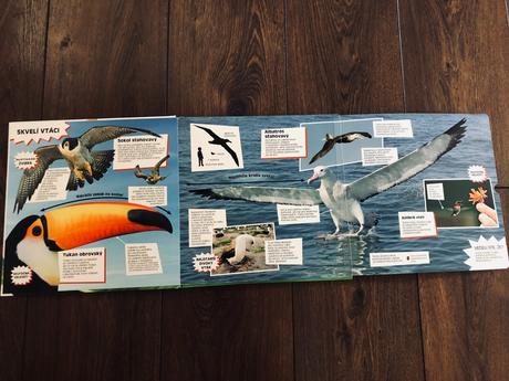 Detska kniha o zvieratach,