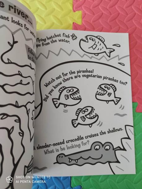 Who is wild in the rainforest - p,