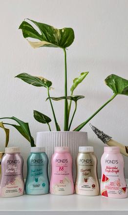 Pond's púder, 