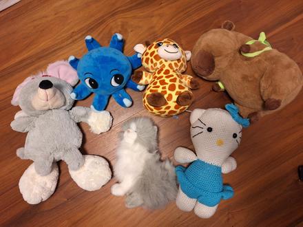 Plyšové hračky, 