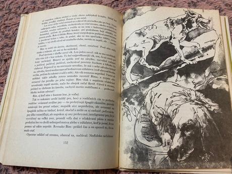 Krásna stará retro kniha biely bim čierne ucho,