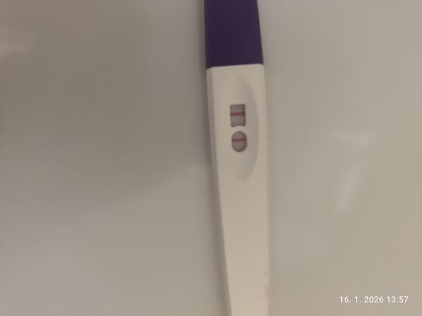 Je ovulačný test pozitívny?