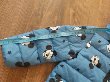 Bundicka na zimu/prechod, disney,92