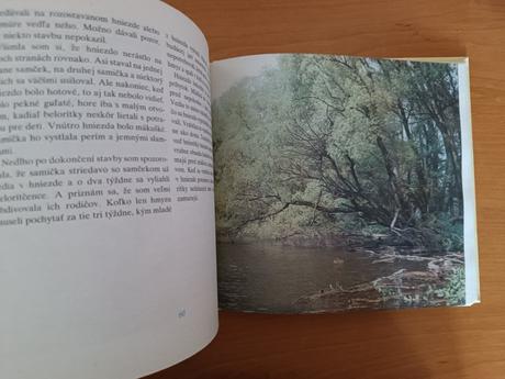 Marta šurinová - kde bývajú zvieratá (1988), 