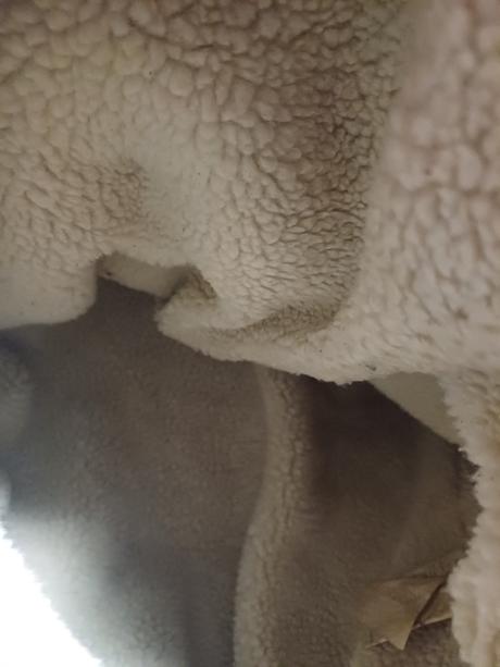 Pánsky kabát, terranova,m