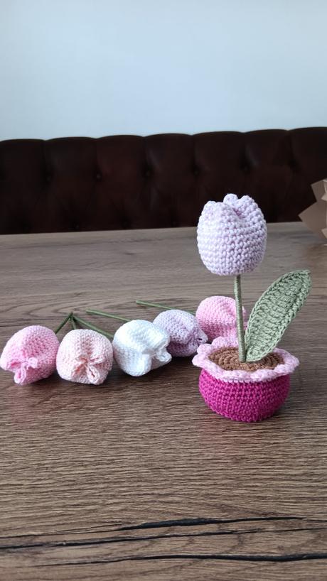 Háčkovaný tulipánik, 