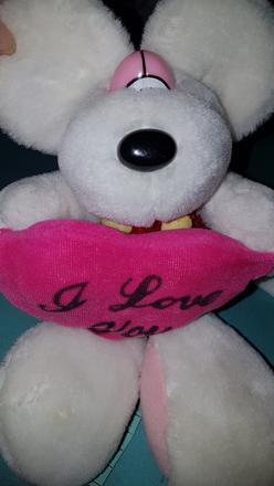 Diddlinka so srdcom,