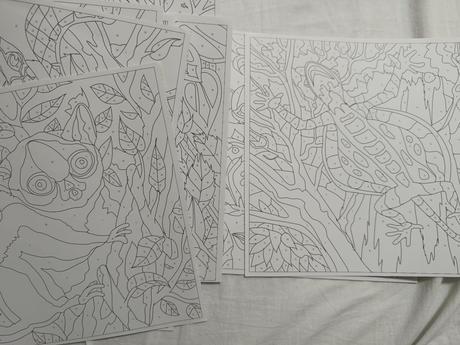 - maľovanka podľa čísel -,