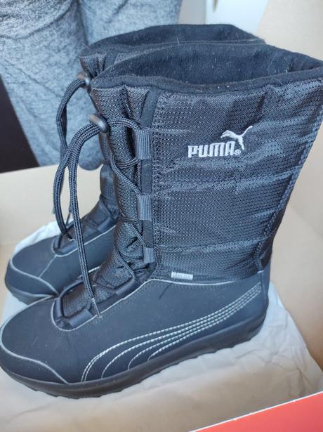 Snehule puma, puma,40
