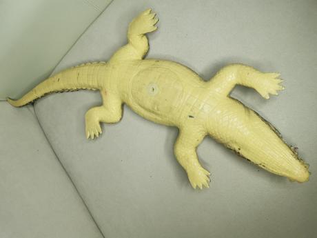 Realistický aligátor, 