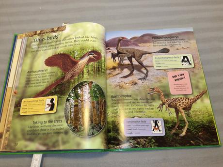 All about dinosaurs  su22, 