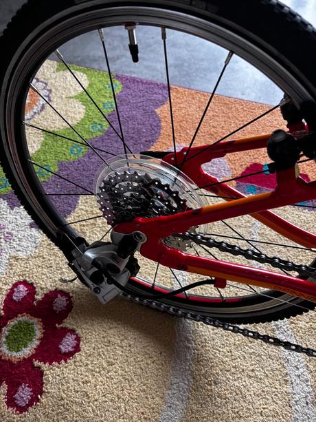 Islabikes beinn 20 bicykel, 20