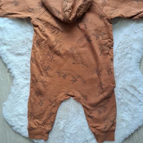 Overal newbie líšky, newbie,74