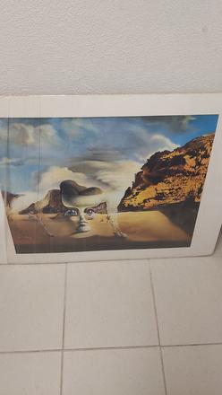 Obraz salvator dalí foto na kartóne 80x60cm,