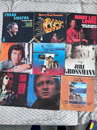 Rôzne lp platne, 