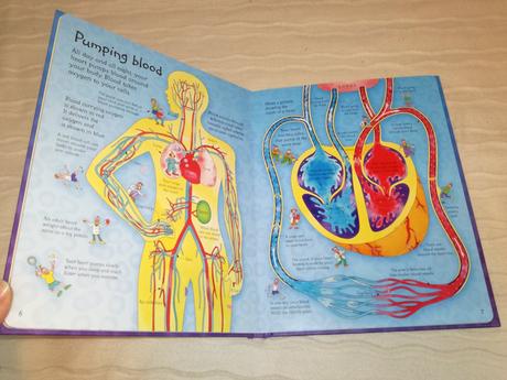 Usborne see inside the space  nsu19, 