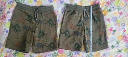 Kratase dvojicky motív dinosaurus, palomino,116