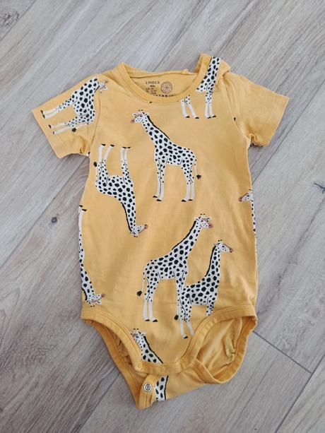 Body lindex, lindex,74