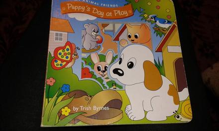 Anglicka kniha o psikovi,