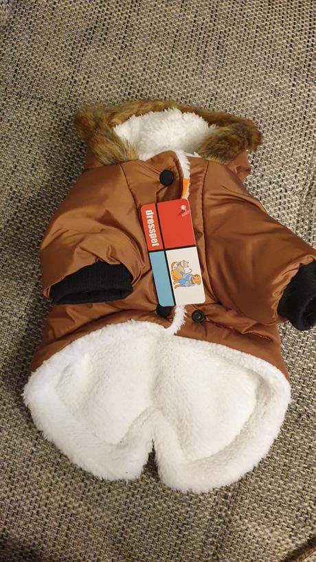 Bundička pre psíka, 