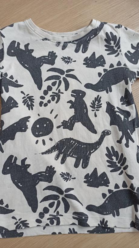 Tričko s dinosaurami, 122